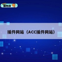 插件网站（ACC插件网站）