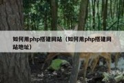 如何用php搭建网站（如何用php搭建网站地址）