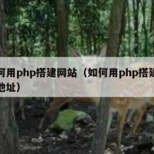 如何用php搭建网站（如何用php搭建网站地址）