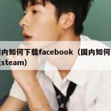 国内如何下载facebook（国内如何下载steam）