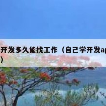 自学开发多久能找工作（自己学开发app要多久）