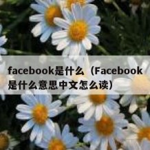 facebook是什么（Facebook是什么意思中文怎么读）