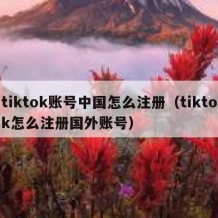 tiktok账号中国怎么注册（tiktok怎么注册国外账号）