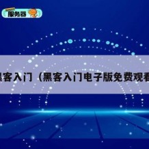 黑客入门（黑客入门电子版免费观看）