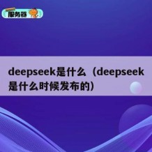 deepseek是什么（deepseek是什么时候发布的）