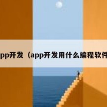 app开发（app开发用什么编程软件）