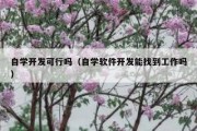 自学开发可行吗（自学软件开发能找到工作吗）