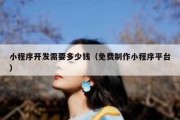 小程序开发需要多少钱（免费制作小程序平台）