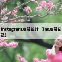 instagram点赞统计（ins点赞纪录）