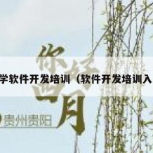 自学软件开发培训（软件开发培训入门）
