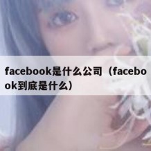 facebook是什么公司（facebook到底是什么）