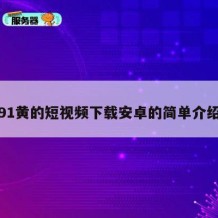 91黄的短视频下载安卓的简单介绍
