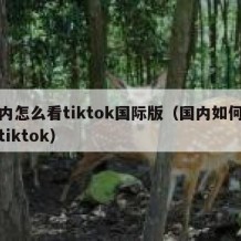 国内怎么看tiktok国际版（国内如何打开tiktok）