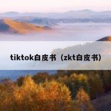 tiktok白皮书（zkt白皮书）