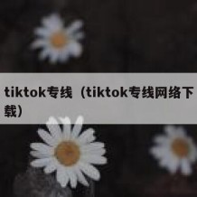 tiktok专线（tiktok专线网络下载）