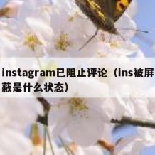 instagram已阻止评论（ins被屏蔽是什么状态）