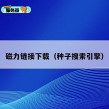 磁力链接下载（种子搜索引擎）