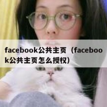 facebook公共主页（facebook公共主页怎么授权）