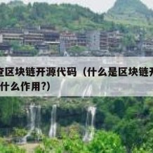 怎么查区块链开源代码（什么是区块链开源代码?有什么作用?）