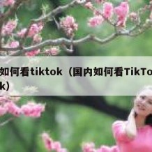 如何看tiktok（国内如何看TikTok）