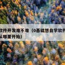 自学软件开发难不难（0基础想自学软件开发应该从哪里开始）