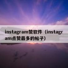 instagram赞软件（instagram点赞最多的帖子）