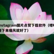 instagram图片点赞下载软件（嘌呤降下来痛风就好了）