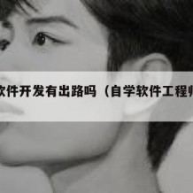自学软件开发有出路吗（自学软件工程师能行吗）