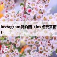 instagram赞的图（ins点赞页面）