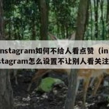 instagram如何不给人看点赞（instagram怎么设置不让别人看关注）