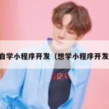 自学小程序开发（想学小程序开发）