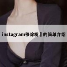 instagram移除粉絲的简单介绍