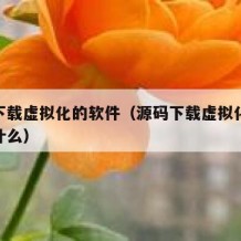 源码下载虚拟化的软件（源码下载虚拟化的软件叫什么）