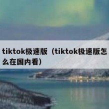 tiktok极速版（tiktok极速版怎么在国内看）