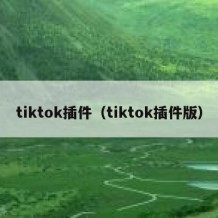 tiktok插件（tiktok插件版）