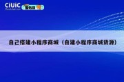 自己搭建小程序商城（自建小程序商城货源）