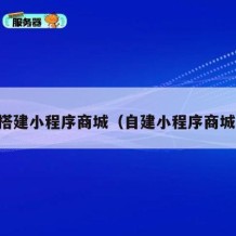 自己搭建小程序商城（自建小程序商城货源）