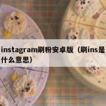 instagram刷粉安卓版（刷ins是什么意思）