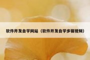 软件开发自学网站（软件开发自学步骤视频）