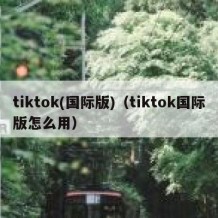 tiktok(国际版)（tiktok国际版怎么用）