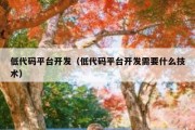 低代码平台开发（低代码平台开发需要什么技术）