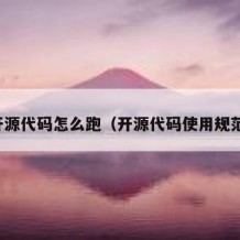 开源代码怎么跑（开源代码使用规范）