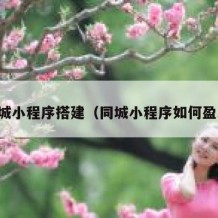 同城小程序搭建（同城小程序如何盈利）