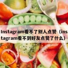 Instagram看不了别人点赞（instagram看不到好友点赞了什么）