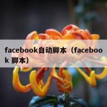 facebook自动脚本（facebook 脚本）