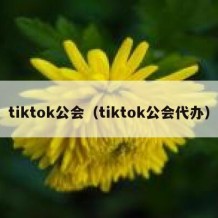 tiktok公会（tiktok公会代办）