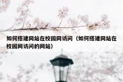 如何搭建网站在校园网访问（如何搭建网站在校园网访问的网站）