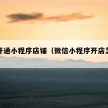 如何开通小程序店铺（微信小程序开店怎么开通）