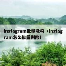 instagram批量吸粉（instagram怎么批量删除）