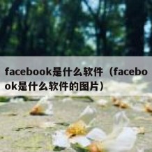 facebook是什么软件（facebook是什么软件的图片）